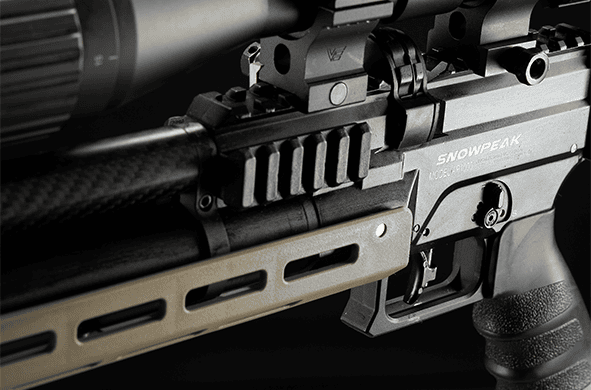 AP1000 detail 3