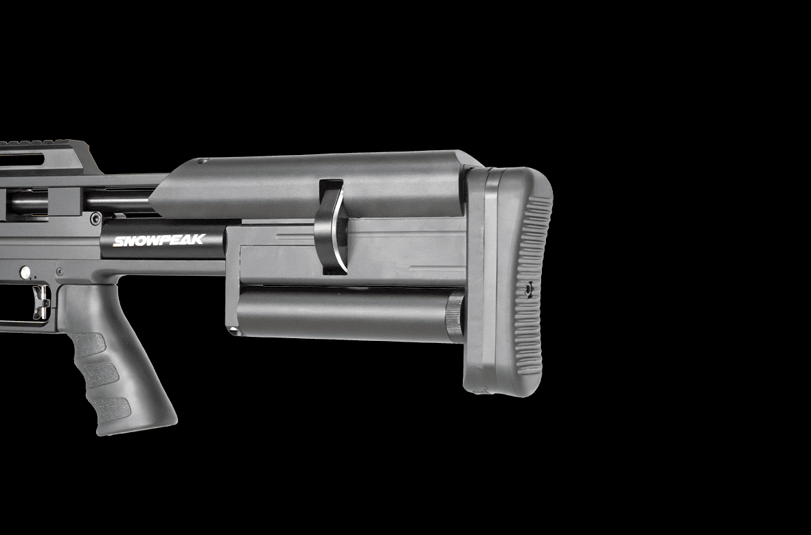 MAX2 DT detail 6